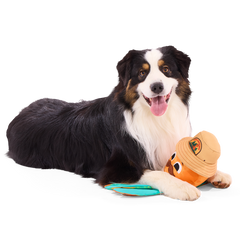 Ollie the Octopus Club, Plush Tug Monthly Dog Toys