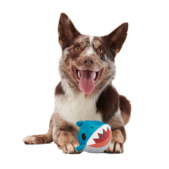 Great White Dwight Super Chewer Durable 2-in-1 + Fetch Dog Toy