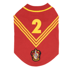Quidditch™ Jersey