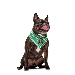 Harry Potter™ House Dog Bandana