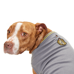 Harry Potter™ House Dog Sweater