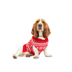 Holiday Sweater Wearable For Dogs