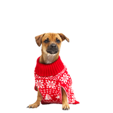 Holiday Sweater Wearable For Dogs