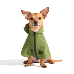 The Dry Dog Raincoat