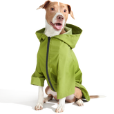 The Dry Dog Raincoat