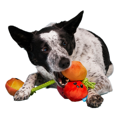 Hairloom Tomatoes Plush Tug Dog Toy