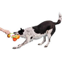 Hairloom Tomatoes Plush Tug Dog Toy