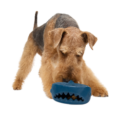 Hammer Fed Shark Super Chewer Durable Enrichment Dog Toy