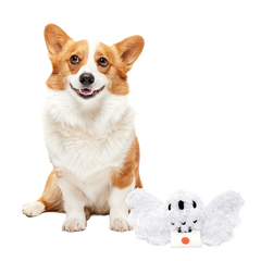 Hedwig™ Plush Tug Dog Toy