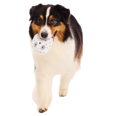 Hedwig™ the Owl Super Chewer Durable 2-in-1 + Fetch Dog Toy