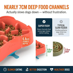 4-in-1 Slow Feeding System | Super Feedy