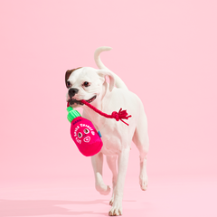 Hot Stuff Plush Tug Dog Toy