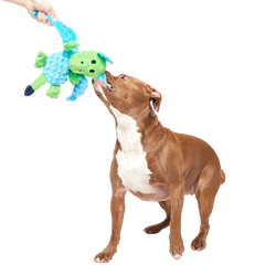 Humbert the Dragon Plush Tug Dog Toy