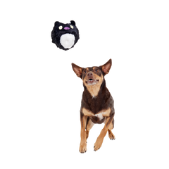 Hunky Skunky Super Chewer Durable 2-in-1 + Fetch Dog Toy