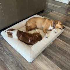 Bouclé Orthopedic Memory Foam Bed