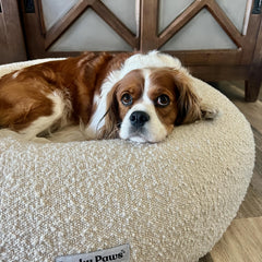 Bouclé Calming Dog Bed