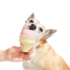 I Squeak Cone Super Chewer Durable Gnaw Dog Toy