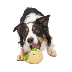 Jabba the Hut ™ Slobber Lobber Super Chewer Durable Fetch Dog Toy