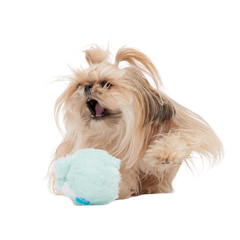 Jack Jackalope Plush Tug Dog Toy