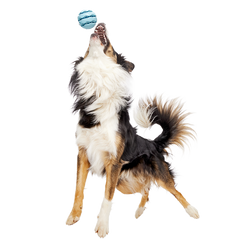 Jawball Super Chewer Durable Fetch + Enrichment Dog Toy