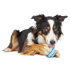 Jawball Super Chewer Durable Fetch + Enrichment Dog Toy