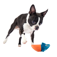 Jump the Shark Super Chewer Durable Fetch Dog Toy