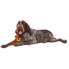 King Bearthur Plush Tug Dog Toy