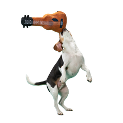 Kumbarkya Guitar Plush XXL Dog Toy