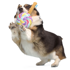 Lick-A-Lot Lollipop Plush Tug Dog Toy