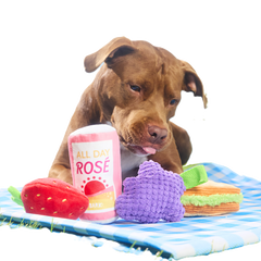 Licknic Pack Plush Multi-Part Tug Dog Toy