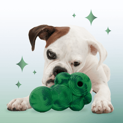 Crystal of the Month Club, Super Chewer Durable Monthly Dog Toys