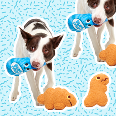 Dip N' Drool Dino Nuggies