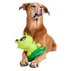 Lily Pal Plush Tug Dog Toy