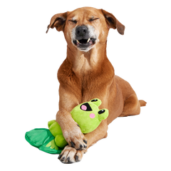 Lily Pal Plush Tug Dog Toy