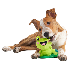 Lily Pal Plush Tug Dog Toy