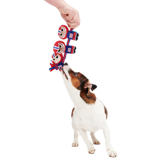 Linebarkers Plush Tug Dog Toy