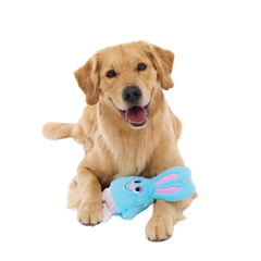 Little Bun Blue Plush Tug Dog Toy