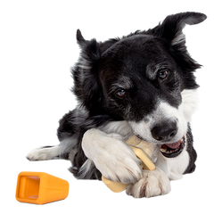 Make n' Munch Pupsicle Kit Super Chewer Durable Multi-Part Dog Toy