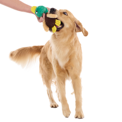 Mal R. Duck Plush Tug Dog Toy