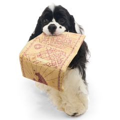 Marauder’s Map™ Plush Tug Dog Toy