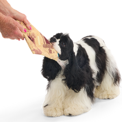 Marauder’s Map™ Plush Tug Dog Toy