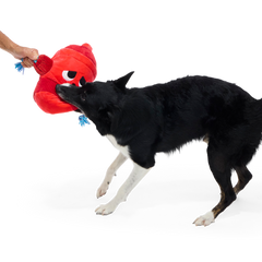 Marky Mark Plush Extra-Large Tug Dog Toy