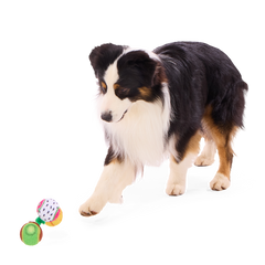 Tennis Ball Club, 3 Squeaky Monthly Tennis Ball Dog Toys