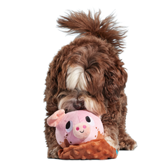 Muddy Maude Plush Fetch Dog Toy