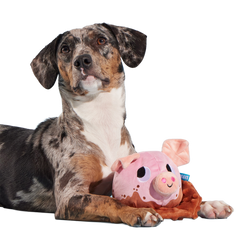 Muddy Maude Plush Fetch Dog Toy