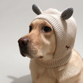 Rabbit Ear Dog Hat