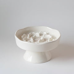 Ceramic Elevated Slow Feeder Bowl