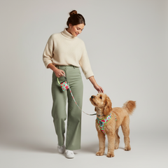 3-Piece Dog Harness & Leash Set