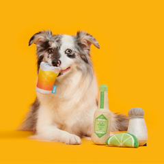 One Tugquila, Chew Tugquila Plush Multi-Part Dog Toy