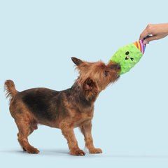 Party Pickle Pedro Tug Dog Toy